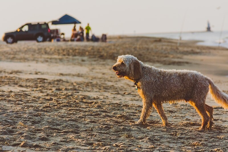 johnell-pannell-r3wiqyh0irc-unsplash